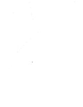 д